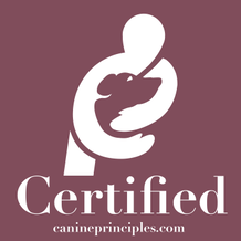 Canine Principles Certified